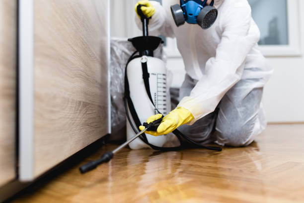 Best Commercial Pest Control Services  in Negaunee, MI