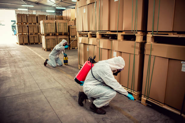 Best Affordable Pest Control Services  in Negaunee, MI