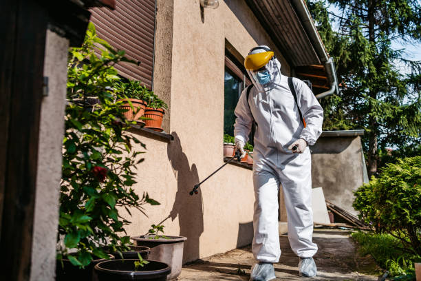 Best Mosquito Control Services  in Negaunee, MI
