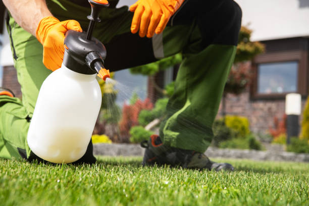 Trusted Negaunee, MI Pest Control Experts