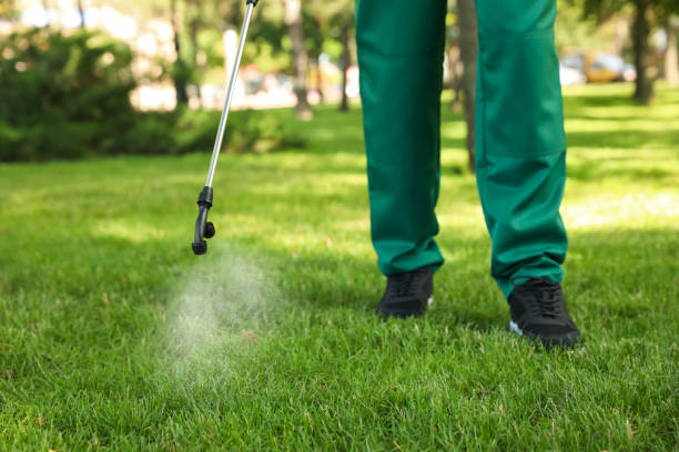 Best Exterminator Services  in Negaunee, MI
