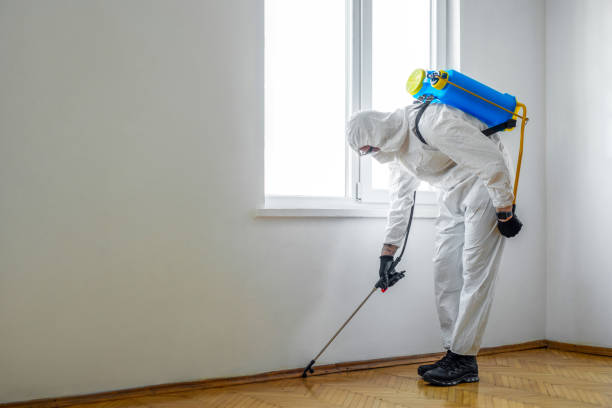 Best Pest Inspection Near Me  in Negaunee, MI