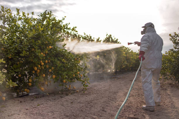Best Pest Control Near Me in Negaunee, MI