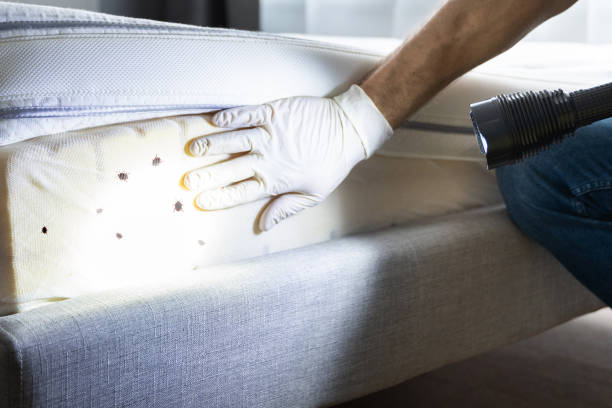 Best Pest Removal Services  in Negaunee, MI