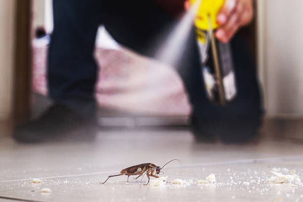 Best Affordable Pest Control Services  in Negaunee, MI