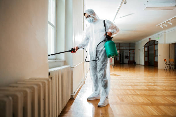 Best Termite Control Services  in Negaunee, MI