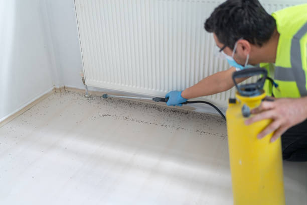 Best Residential Pest Control  in Negaunee, MI