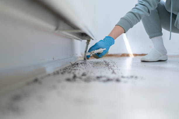 Best Pest Prevention Services  in Negaunee, MI